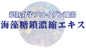 メカブ超低分子フコイダン抽出エキス  海藻糖鎖濃縮エキス