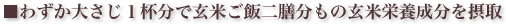 わずか大さじ1杯分で玄米ご飯2膳分もの玄米栄養成分を摂取